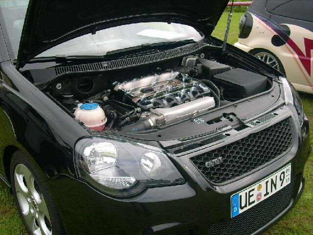 Kuhfelde29
